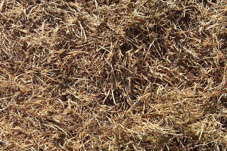 Natural Resources Wales has extended the drought status across the whole of Wales due to prolonged dry conditions and high temperatures, impacting rivers, groundwater, agriculture, and ecosystems.