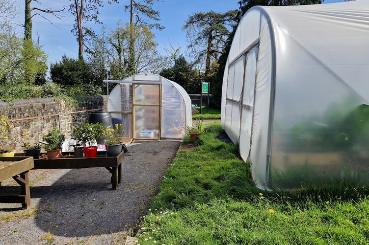 Carmarthenshire Living Well Centre