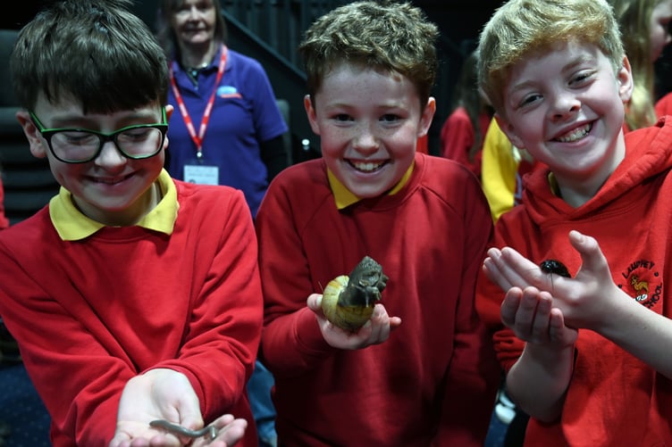 Lamphey School with tropical minibeasts from SW2U