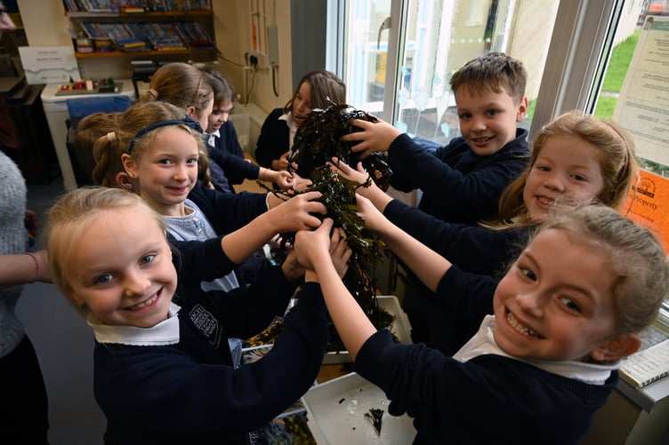 Celebrating Darwin Centre’s 20th Anniversary with Roch school