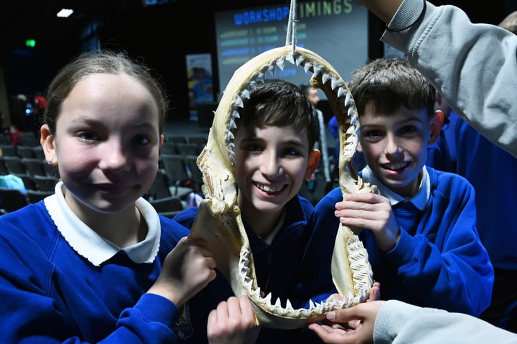 Cleddau Reach pupils with Celtic Deep's great white shark jaw