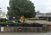 Chinese-style house plans at award-winning Pembrokeshire eatery