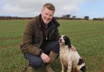 Welsh farmers adapt to drought challenges