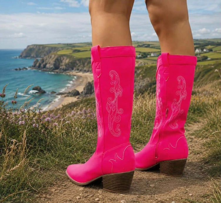 Visitors to the Pembrokeshire County Show can take part in the Torch Theatre's pantomime competition to win a family ticket to see 'Puss in Boots'.