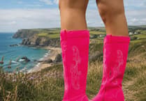 Join the Torch Theatre’s Puss in Boots pantomime competition at Pembrokeshire Show