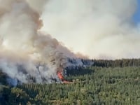 Carmarthenshire wildfire triggers 'Major Incident'