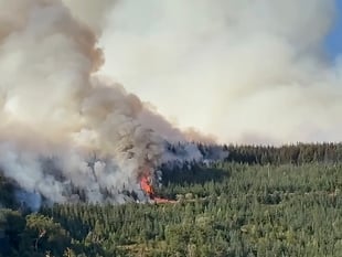 Carmarthenshire wildfire triggers 'Major Incident'