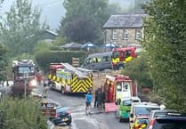 Llandovery community praised for 'outstanding' wildfire response