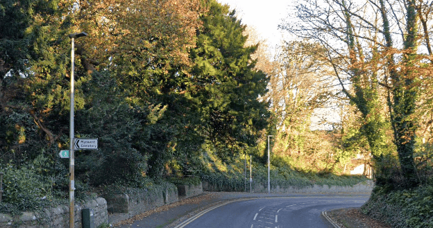 Tenby trees