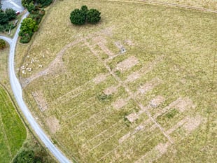 Drought reveals WWII heritage at Dinefwr