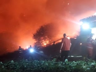 Wildfire incident at seaside village of Pendine