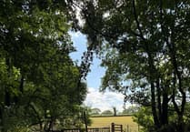 Urgent water crisis hits Welsh farms