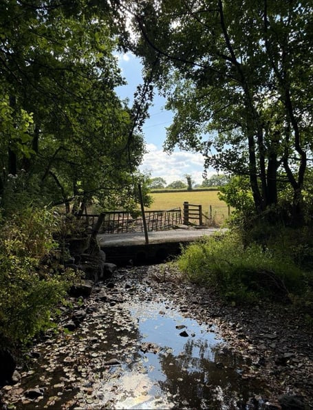 Bridge on Rhayader farmland