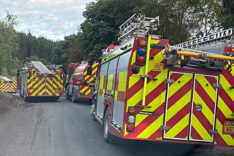Llandovery wildfire