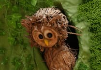 Discover 'Pleth': A Welsh storytelling journey