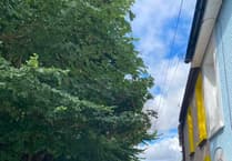 Tree removal works to close Tenby road temporarily