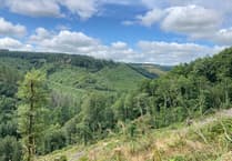 Carmarthenshire to host new 122m mast for wind farm monitoring