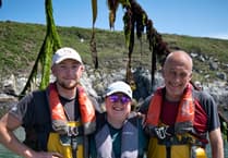 Wales Festival of Seaweed returns to Pembrokeshire