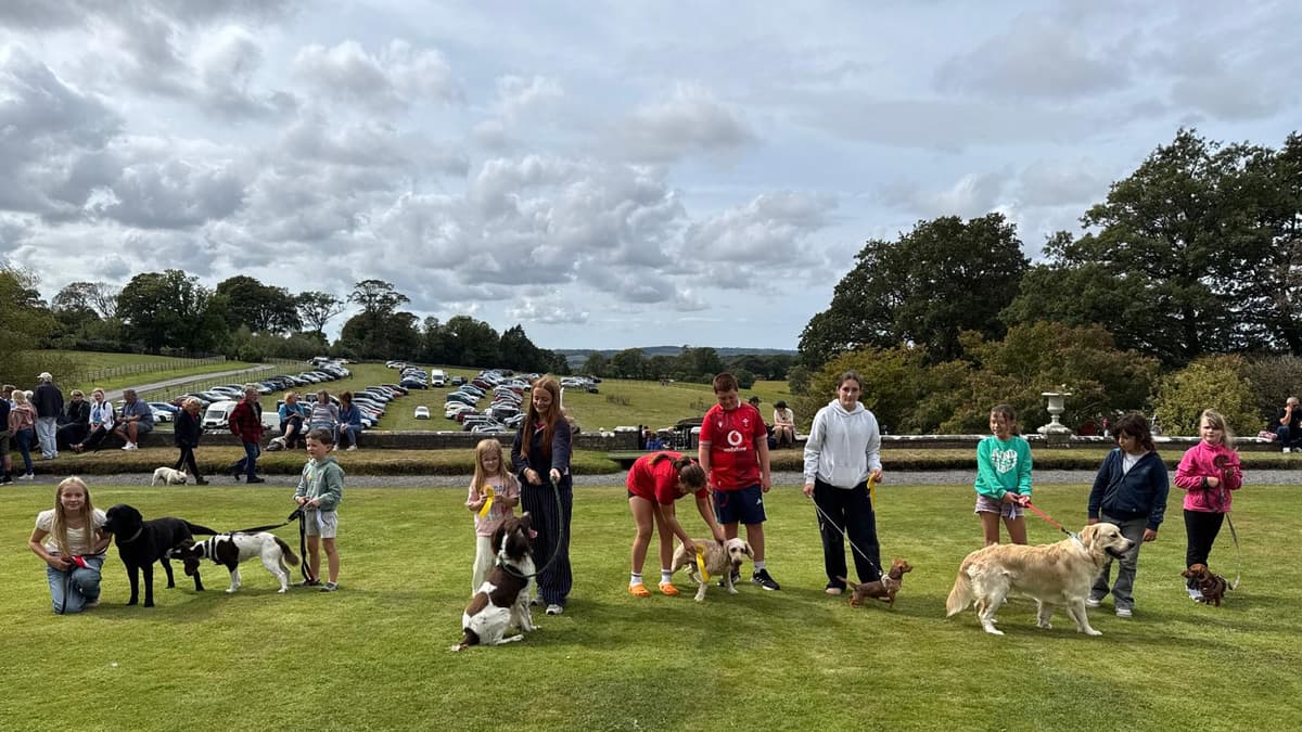 Novelty dog show brings joy to Cresselly Country Fayre