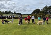 Novelty dog show brings joy to Cresselly Country Fayre