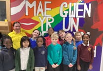 Estyn praises Welsh language immersion in Carmarthenshire