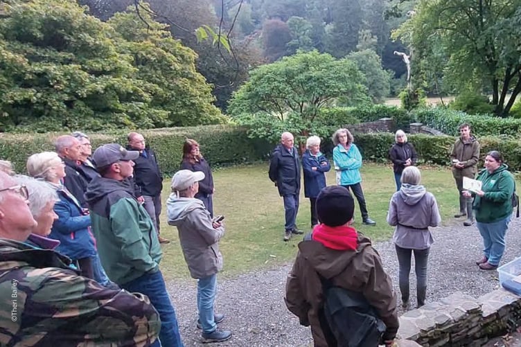 Vincent Wildlife Trust - Bat Night 2026