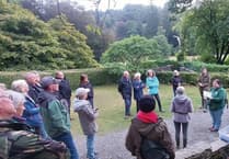 Bats dazzle at Colby Woodland Garden