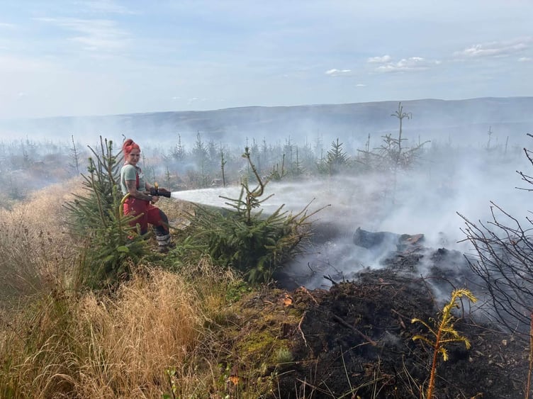Firefighters dealing with a wildfire near Llandovery this summer