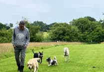 Appeal success: dog exercise field gets green light in Pembrokeshire