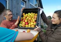 Join Cwm Arian’s apple juicing events in Pembrokeshire