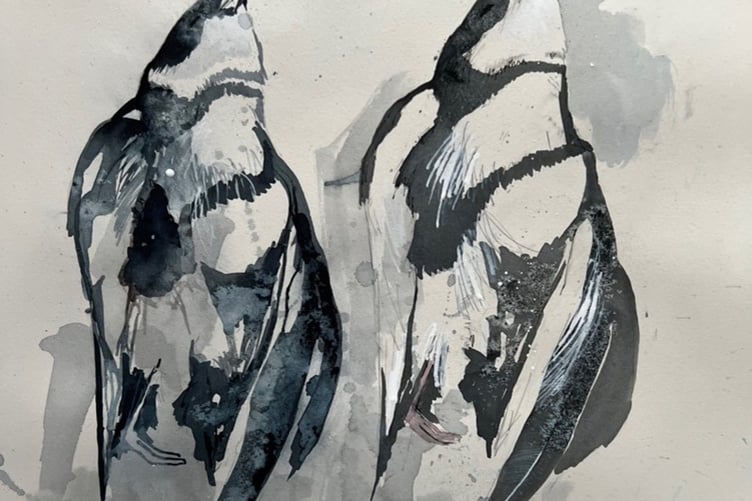 Painting of Manx shearwaters