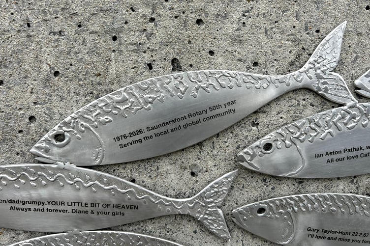 The Saundersfoot Rotary Club has revealed a commemorative fish plaque at the harbour, celebrating its 50th anniversary and honouring the commitment of its members.