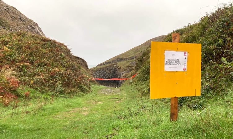 A grey seal pup thought to be just two days old was found on a beach on Castlemartin Range. Our team put up ‘No Access’ signs and cordoned off the beach to protect it from disturbance.