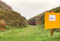 Public urged to respect seal pup areas