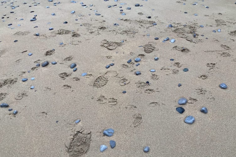 beach at Castlemartin range