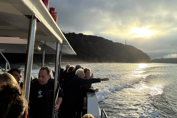 Cleddau boat trip