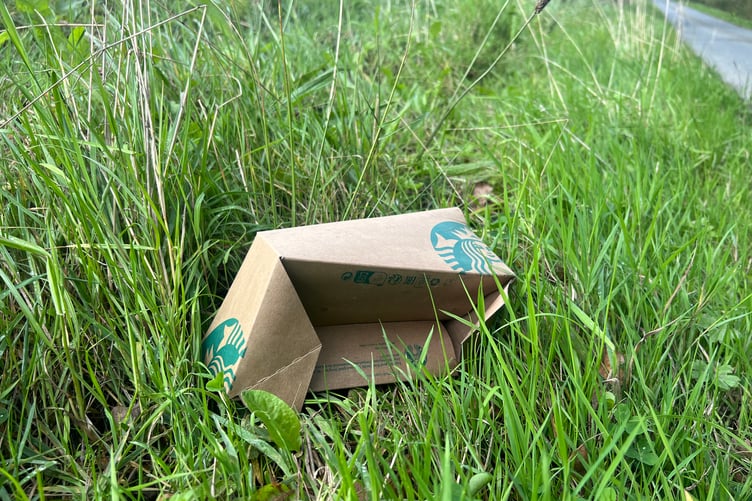 litter Tenby Observer