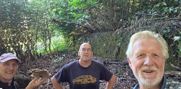 Three of our volunteers (Mike, Paddy and James) working at St.Issel's this week, preparing the ground for our new biodiverse dead hedge when they found this example of Hoof Fungus (Fomes fomentarius):