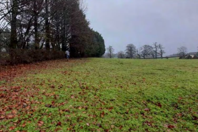 Part of the land where a new road access will be built to Sarnau Mansion, Carmarthenshire