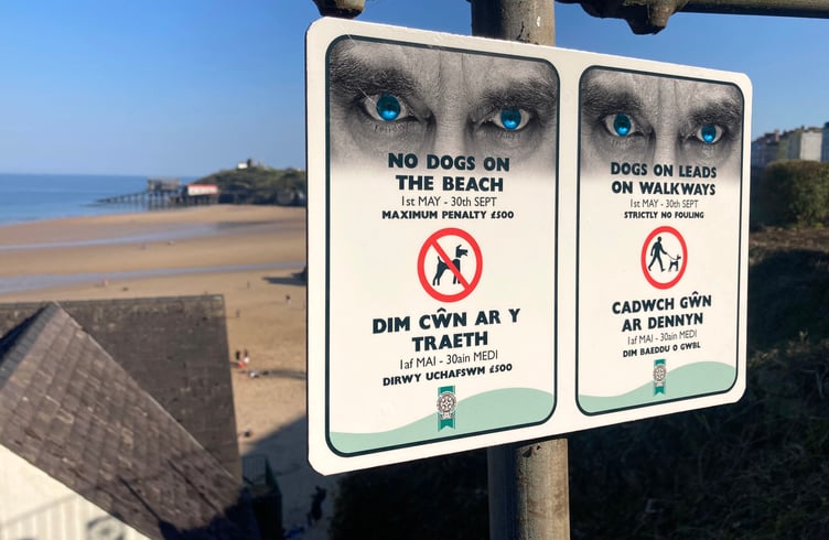 dog beach ban sign Tenby