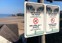 Pembrokeshire councillor calls for relaxing dog beach restrictions