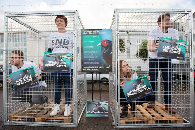 Animal welfare campaigners highlight suffering of pheasants and partridges in cages outside Plaid Cymru conference