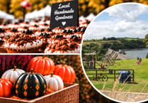 Visit the Autumn Market at Llys-y-Frân this October