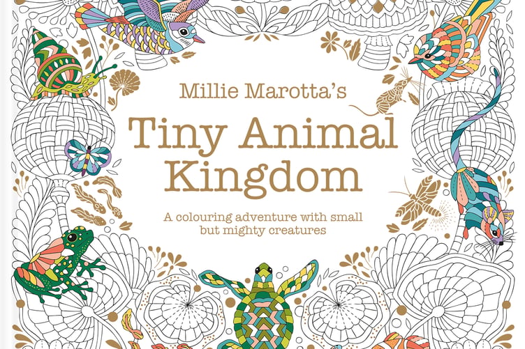 Tenby-based illustrator Millie Marotta's latest book is a must-have for colouring fans