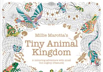 Tenby illustrator Millie Marotta releases new colouring book featuring tiny creatures