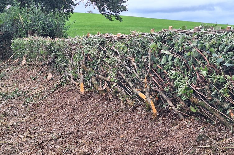 Local expert, Chris Roscoe, will give a presentation covering the traditional field skill of hedge laying.