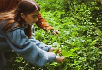 Celebrate Pembrokeshire hedgerows at free community day