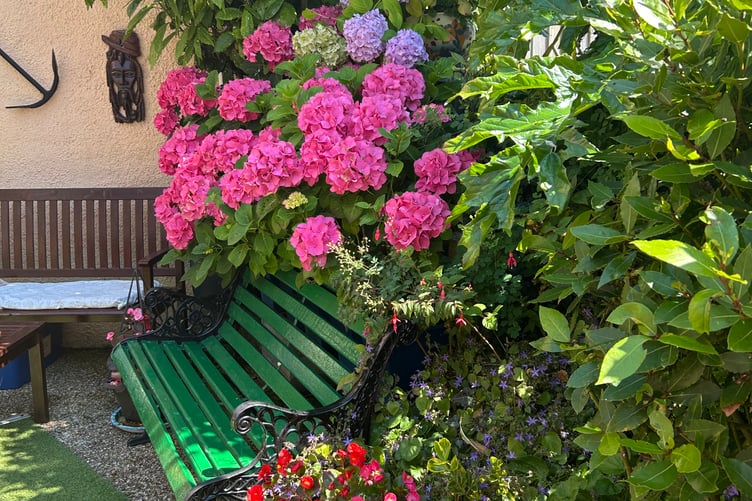 Tenby in Bloom awards 2026