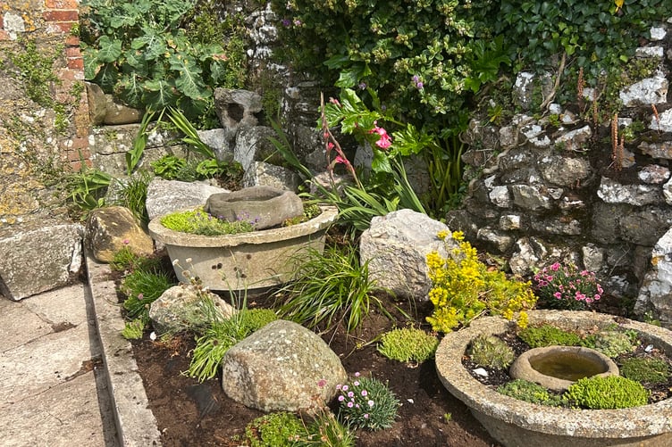 Tenby in Bloom awards 2026