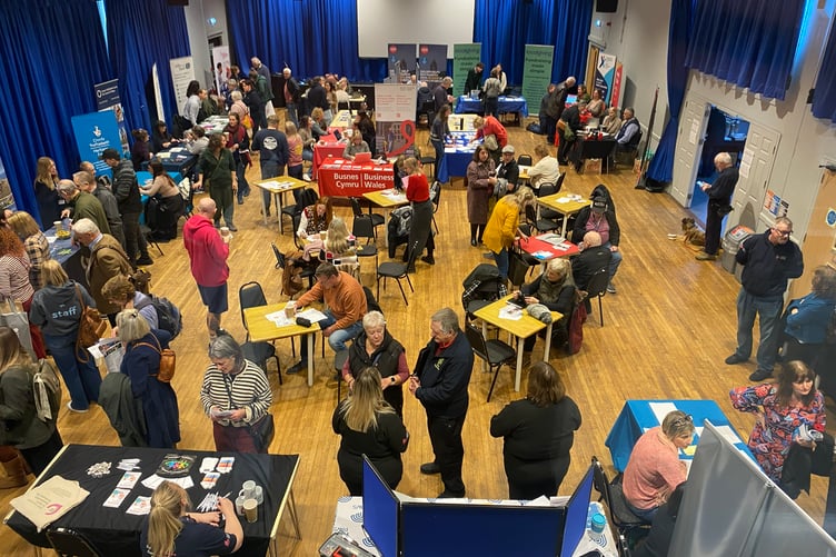 2025 PAVS Funding Fair